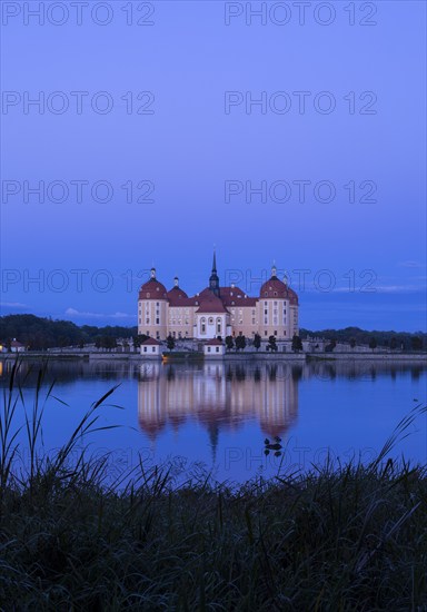 Moritzburg Castle in the evening light, Moritzburg, Meißen County, Saxony, Germany, Europe
