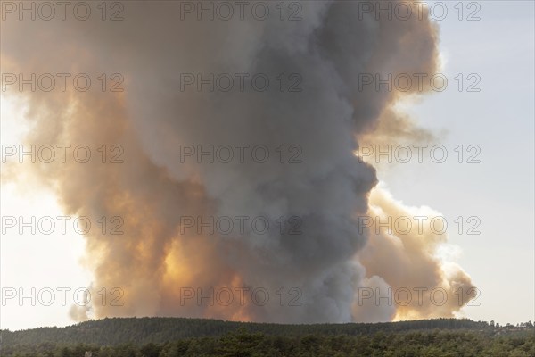 Forest fire wreaks havoc on causse de sauveterre. Montuejols, Aveyron, Cevennes, France, Europe