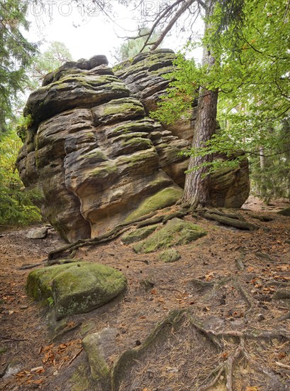 Dippoldiswalder Heide, Einsiedlerstein