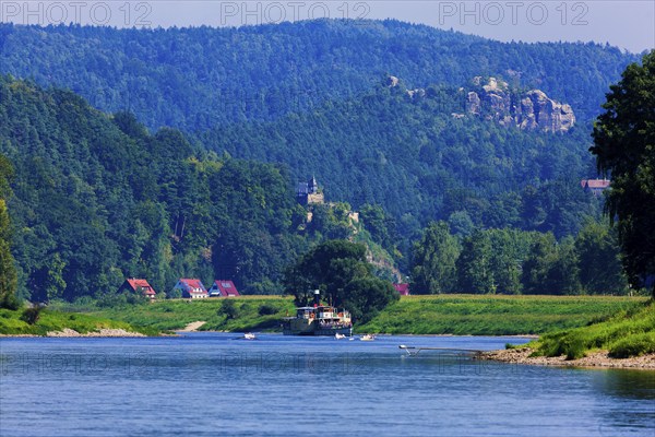 Elbe steamer Pirna in Wehlen