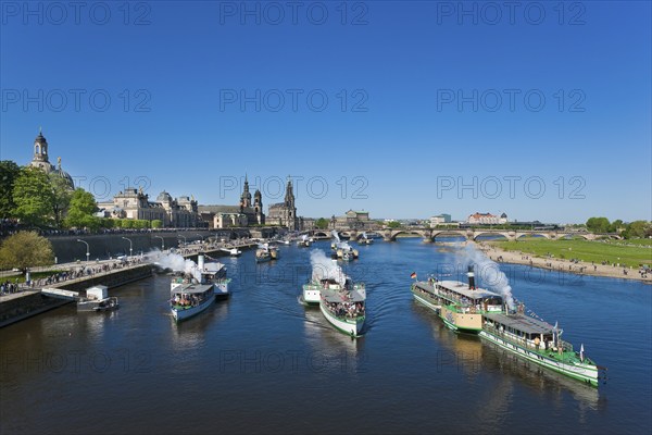 Steamboat parade on the Elbe