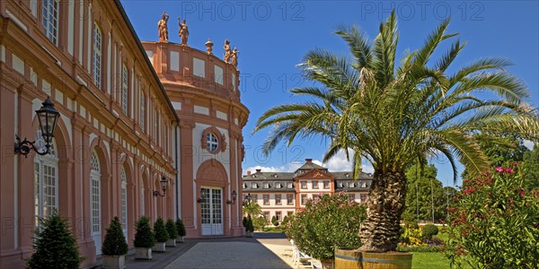 Biebrich Palace with palm trees and the rotunda from the palace park side, Wiesbaden, Hesse,