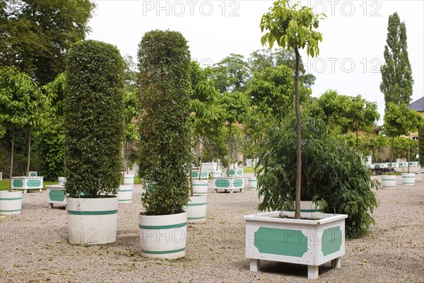 Belvedere Palace is a lavishly designed pleasure palace complex near the city of Weimar. The entire