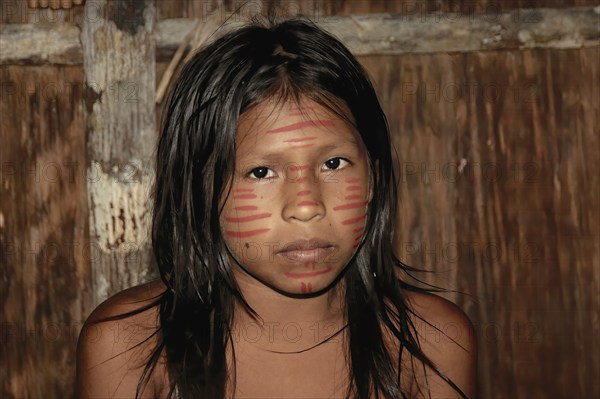 Portrait of an Indian girl from the Dessanos tribe, Rio Taruma, Manaus, Amazon state, Brazil, South