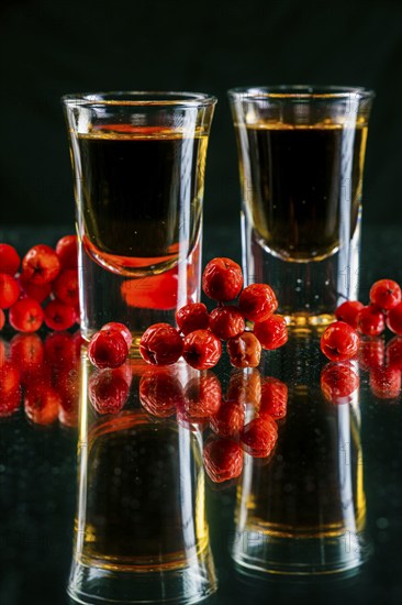 Spirits from the Ore Mountains, here the rowanberry schnapps