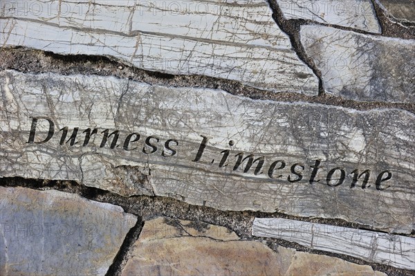 Durness limestone rock fragment, part of the Knockan Puzzle at the Knockan Crag National Nature