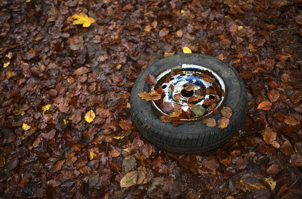 Old car tyre, wheel, rim, lying in autumn leaves, Swabian Forest, Baden-Württemberg, Germany,