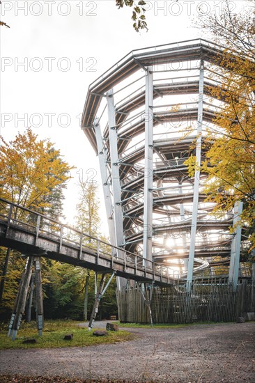 Observation tower of the treetop walk in autumn, Sommerberg, Bad Wildbad, Black Forest, Germany,