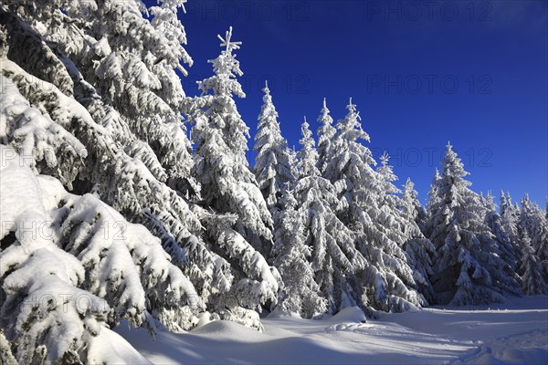 Winter landscape in the Fichtelgebirge, Bayreuth district, Upper Franconia, Bavaria, Germany,