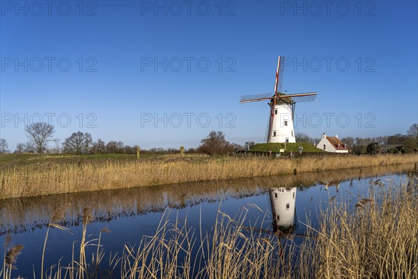 Windmill de Schellemolen in Damme, West Flanders, Belgium, Europe