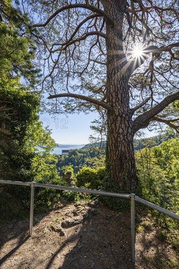 View from the Altbodman castle ruins over the Bodanrück to Lake Constance, Bodman-Ludwigshafen,