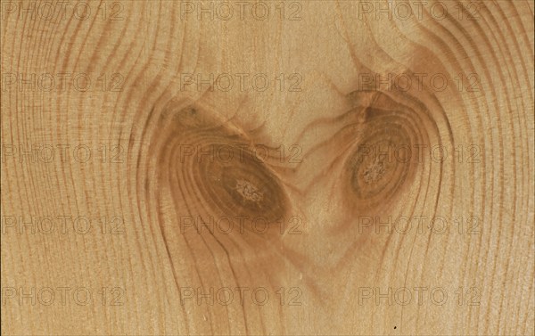 Wood structure, birch wood with stone finish