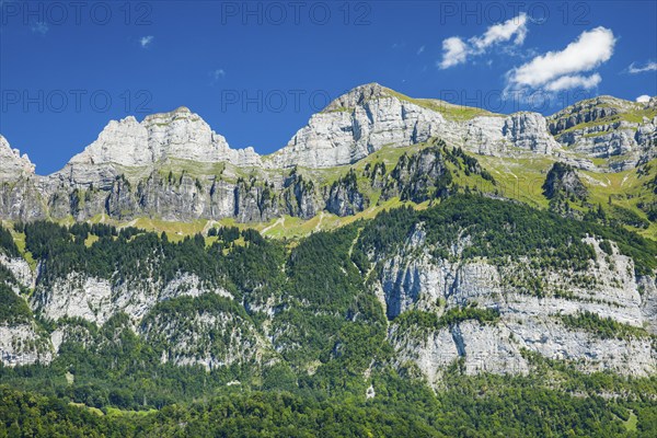 Churfirsten with Schibenstoll, 2234m, Hinterrugg, 2306m and Chäserrugg, 2262m, summer, Canton St.