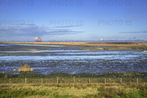 View over salt marsh of the Western Scheldt estuary at nature reserve Prosperpolder, East Flanders,