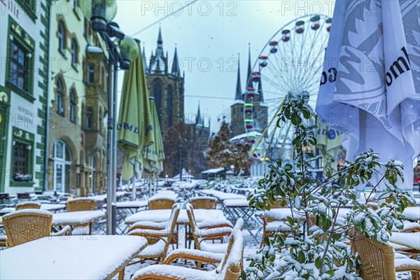 Christmas market on the cathedral square in Erfurt, Thuringia, Germany, Europe