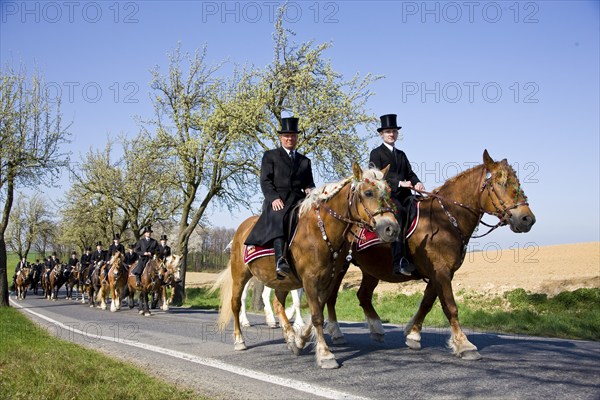 Every year at Easter there are about 5 processions in Lusatia, each with about 200 riders. The