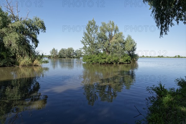 Puszta and steppe landscape in Hortobagy National Park, Hortobagy Nemzeti Park, UNESCO Biosphere
