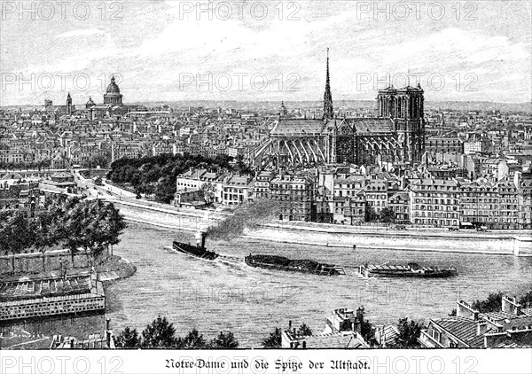 Notre-Dame and the top of the old town, Paris, cityscape, architecture, Roman Catholic cathedral,