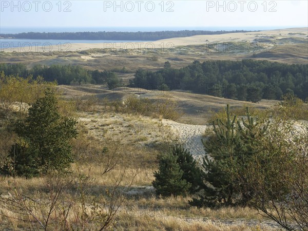 The Parnidis Dune in the Curonian Spit National Park is one of the largest shifting sand dunes in