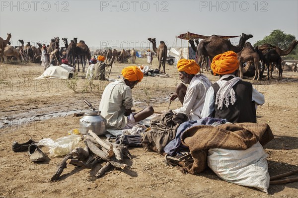 PUSHKAR, INDIA, NOVEMBER 20, 2012: Indian men and camels at Pushkar camel fair (Pushkar Mela),