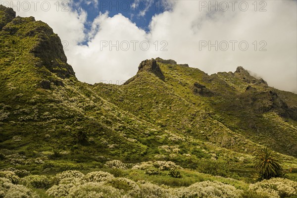 Teno Mountains, Tenerife, Canary Islands, Spain, Europe