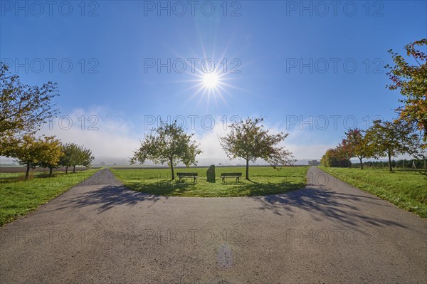 Fork in the road, field landscape, fruit trees, bench, sun, sky, autumn, beeches, Odenwald,