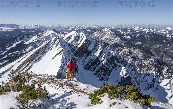 Ski tourers at the summit, mountains in winter, Sonntagshorn, Chiemgau Alps, Bavaria, Germany,
