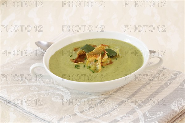 Swabian cuisine, cress soup with crisps, cress, plate with green cream soup, soup cup, soup bowl,