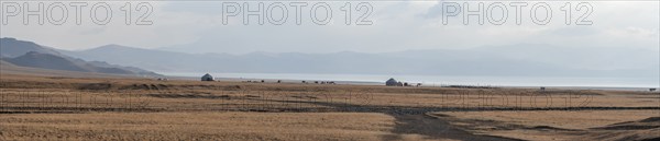 Traditional yurts at Songköl Lake on a plateau, mountains in the background, Kyrgyzstan, Asia
