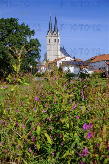 Pilgrimage Church of St. Mary's Assumption in Tuntenhausen, Upper Bavaria, Bavaria, Germany, Europe