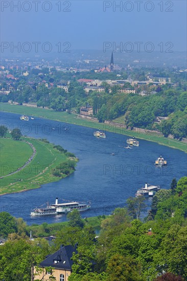 Steamboat parade on the Elbe