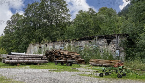 Logs stored on the grounds of the horticultural office, Schwangau, Bavaria, Germany, Europe