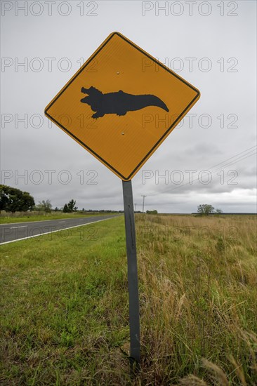 Sign Beware caimans, near Loreto, Esteros del Iberá, Province of Corrientes, Argentina, South