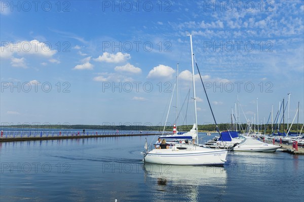 Bärwalder See Landscape Park, a post-mining landscape that is being recultivated by the LMBV. The