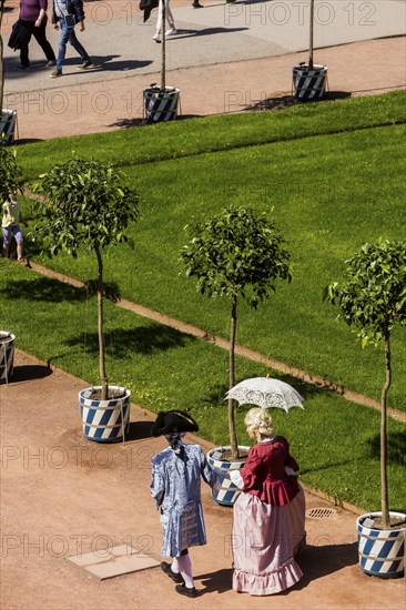 Return of the oranges from their winter quarters to the Dresden Zwinger