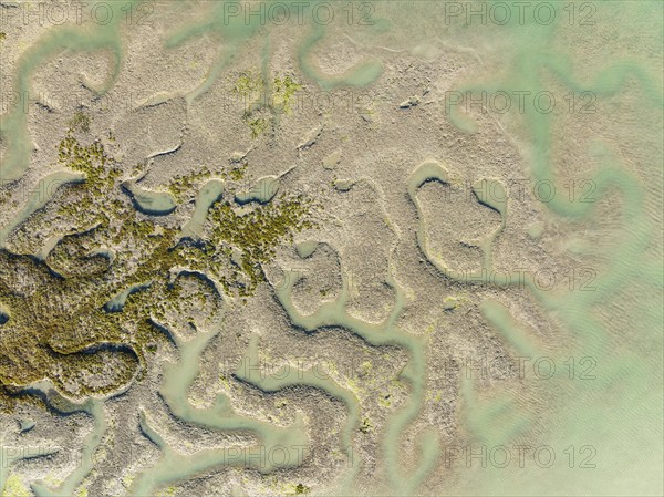 Network of channels and streams at low tide, in the marshland of the Bahía de Cádiz, aerial view,