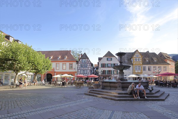 Market square with market fountain in Neustadt an der Weinstraße, Rhineland-Palatinate, Germany,