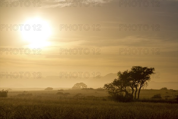 Landscape at sunrise, Namib Naukluft Park, Namibia, Africa