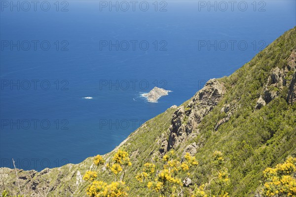 Panorama of Cabezo del Tejo, coast near Taganana, Anaga Mountains, Anaga, Tenerife, Northeast,