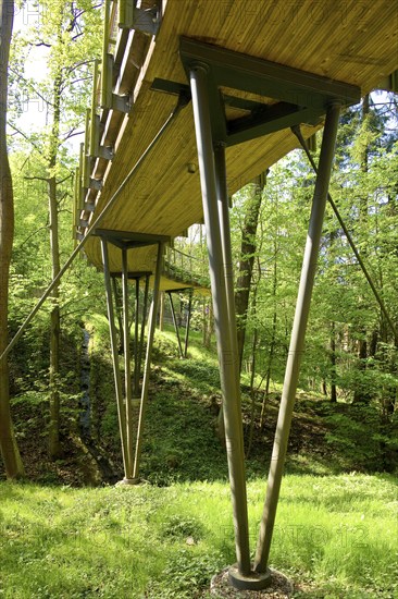 The Forest Botanical Garden Tharandt is an institution of the Technical University of Dresden and