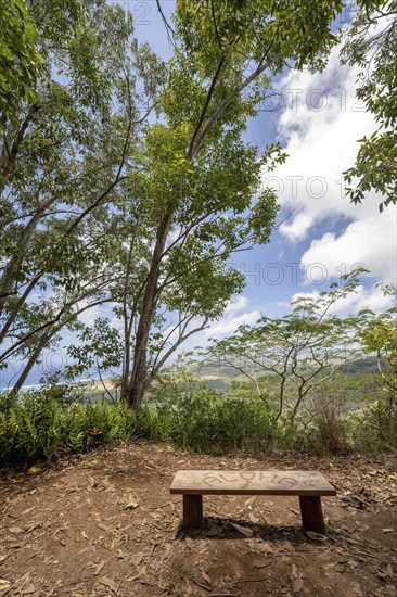 Bench with Aloha Symbol on Sleeping Giant (Nounou Mountain) East Trail, Kauai, Hawaii, USA, North
