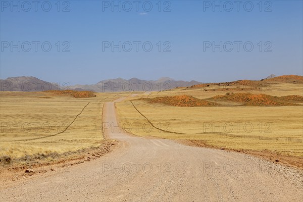 Gravel road C14, in the background the Tiras Mountains, Namibia, Africa