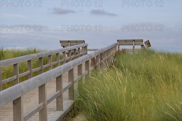 Hozsteg to the viewing platform on the dunes, Norddeich, Norden, East Frisia, Lower Saxony,