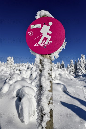 Sign snowshoe hiking trail near the Vogelskopf, near Baiersbronn, county Freudenstadt, Black
