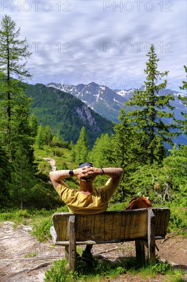 Mountaineers on the Zirbenweg, on the Graukogel, Bad Gastein, Gastein Valley, Salzburger Land,