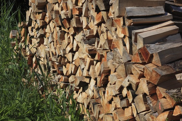 Stacked firewood, split logs in a pile, polter, logs