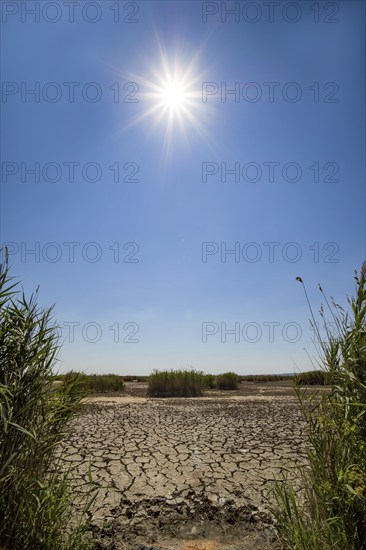 Heavily desiccated soil of Lake Neusiedl, Lake Neusiedl-Seewinkel National Park, Illmitz,