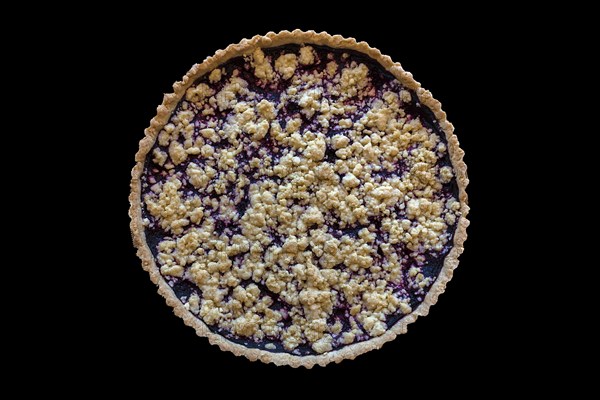 Blueberry cake with crumble on black background, Lower Saxony, Germany, Europe