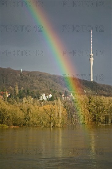 Elbe view from blauen Wunder