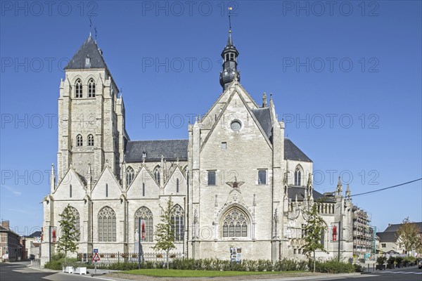 13th, 16th century Gothic medieval Saint Leonard's Church, Sint-Leonarduskerk in the city